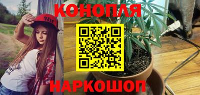 гидропоника Краснознаменск