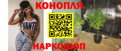 гидропоника Краснознаменск