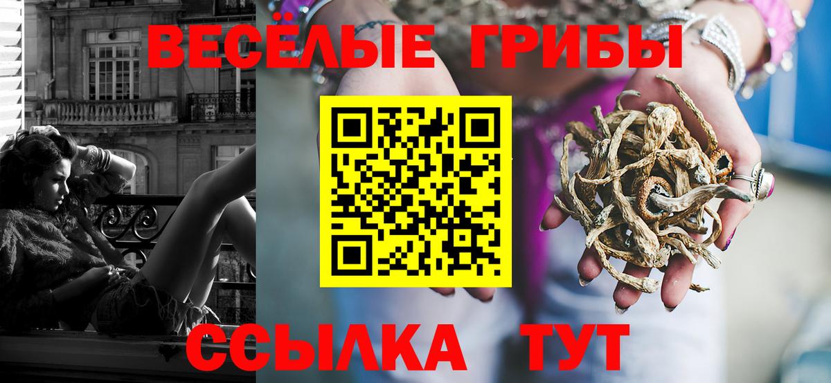 Псилоцибиновые грибы Magic Shrooms Кашира