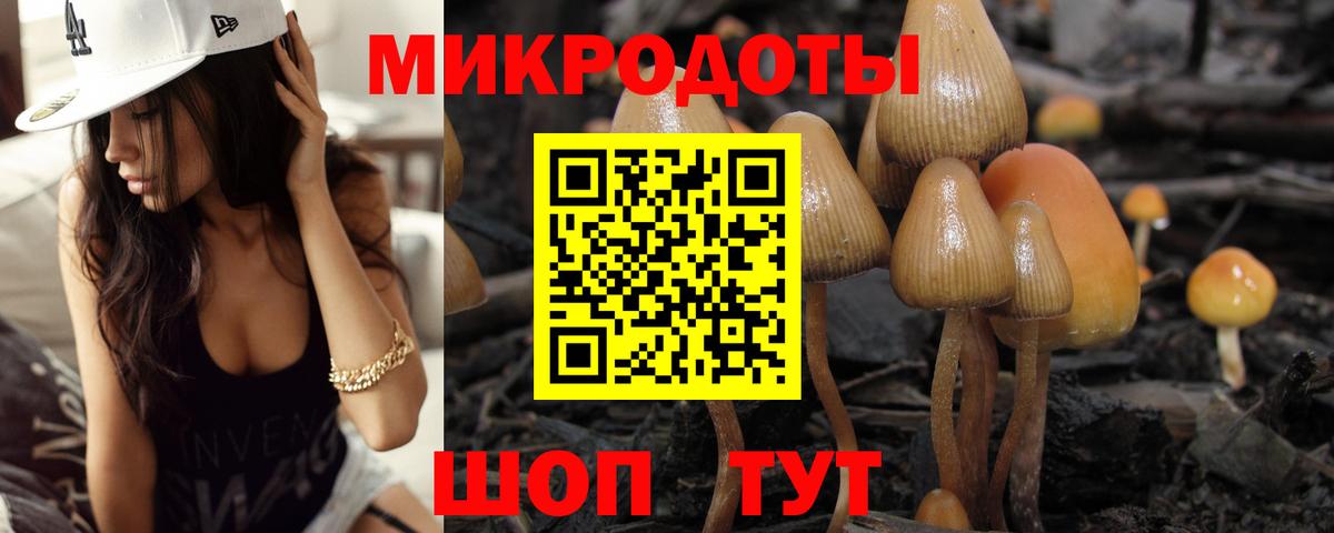 Псилоцибиновые грибы MAGIC MUSHROOMS  Вход с VPN  Кашира 
